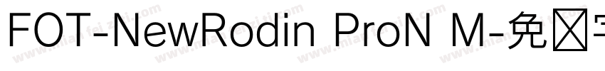 FOT-NewRodin ProN M字体转换